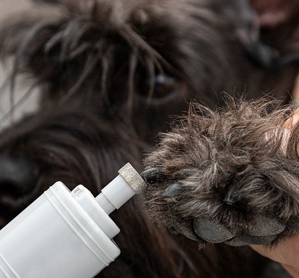 Smerigliatrice elettrica per unghie per animali domestici